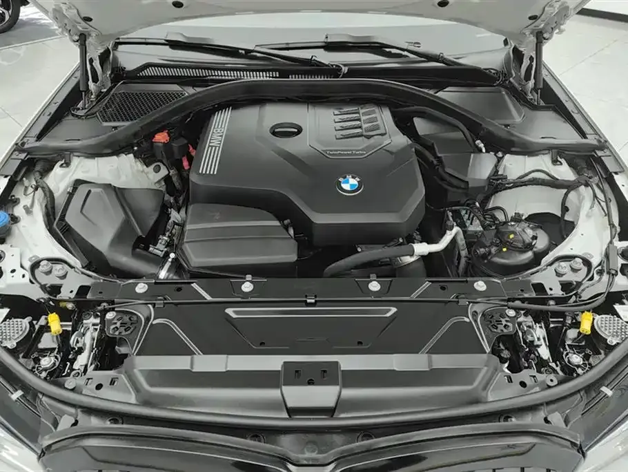 BMW 3 Series 2021 из CN, фото 10