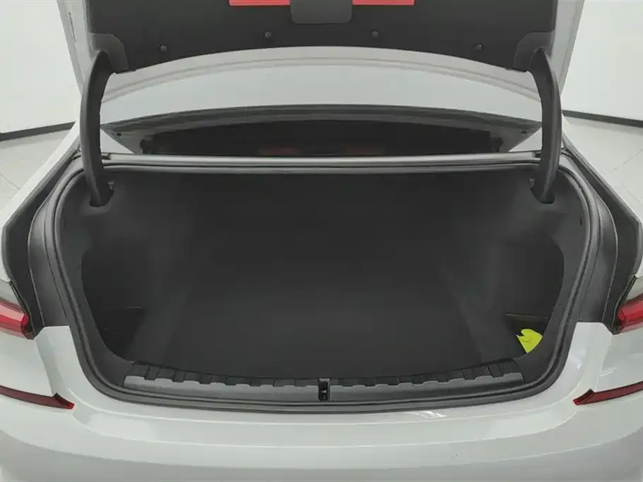 BMW 3 Series 2021 из CN, фото 9