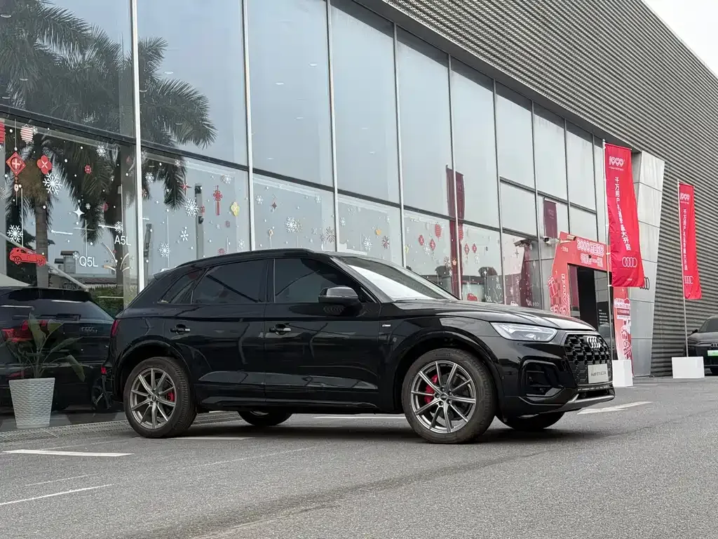 Audi Q5L 2024 из CN, фото 10