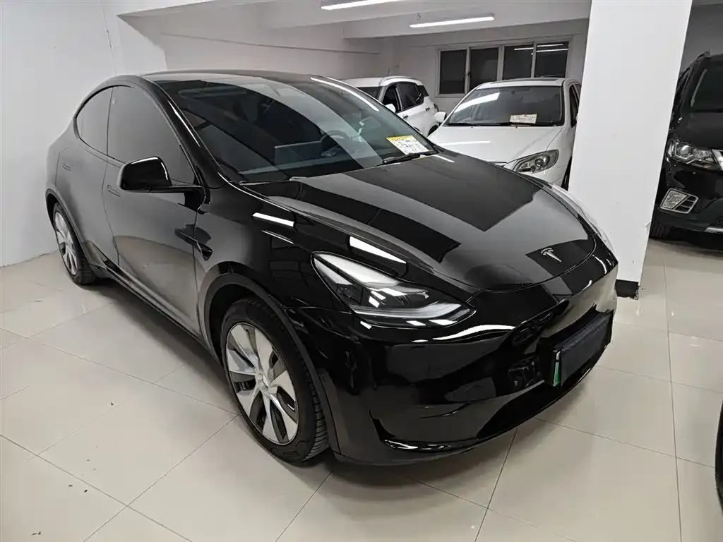Tesla Model Y — фото 8