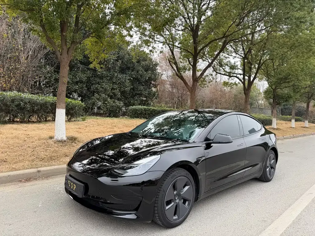 Tesla Model 3 2022 из CN, фото 1
