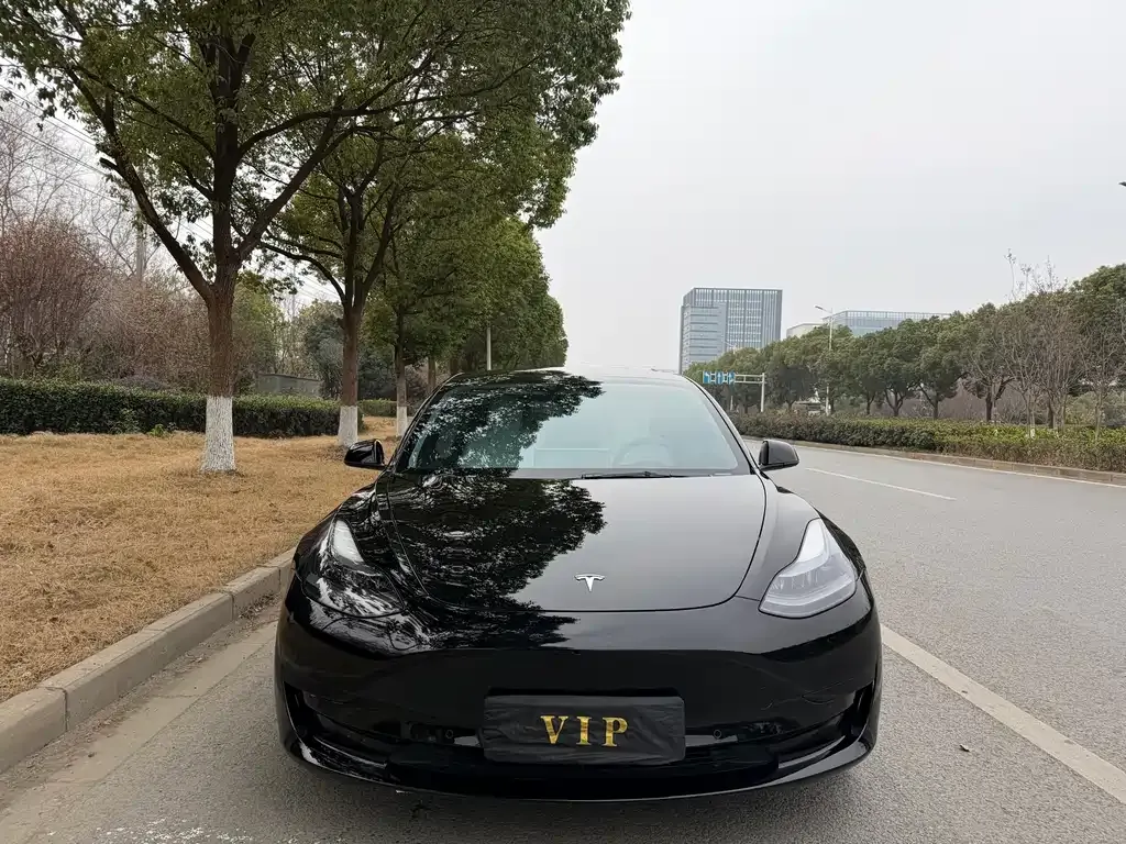 Tesla Model 3 2022 из CN, фото 4
