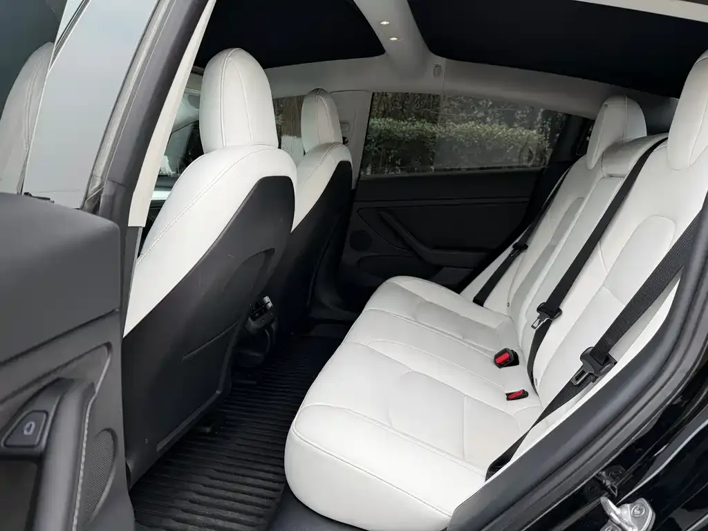 Tesla Model 3 2022 из CN, фото 8