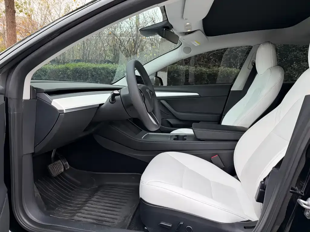 Tesla Model 3 2022 из CN, фото 2