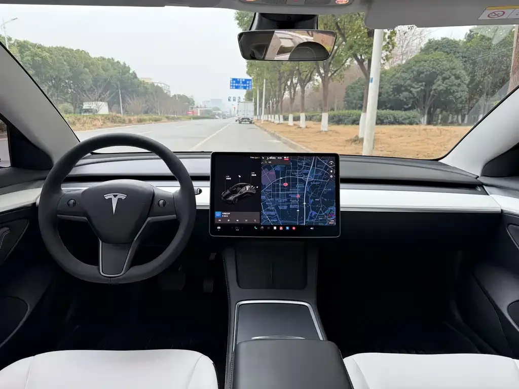 Tesla Model 3 2022 из CN, фото 7