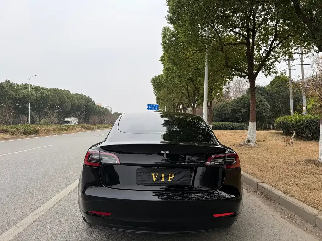 Tesla Model 3 2022 из CN, фото 9