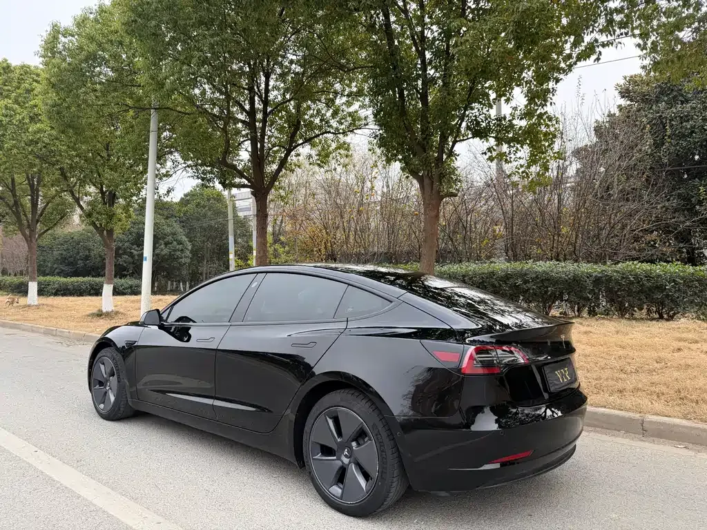 Tesla Model 3 2022 из CN, фото 6