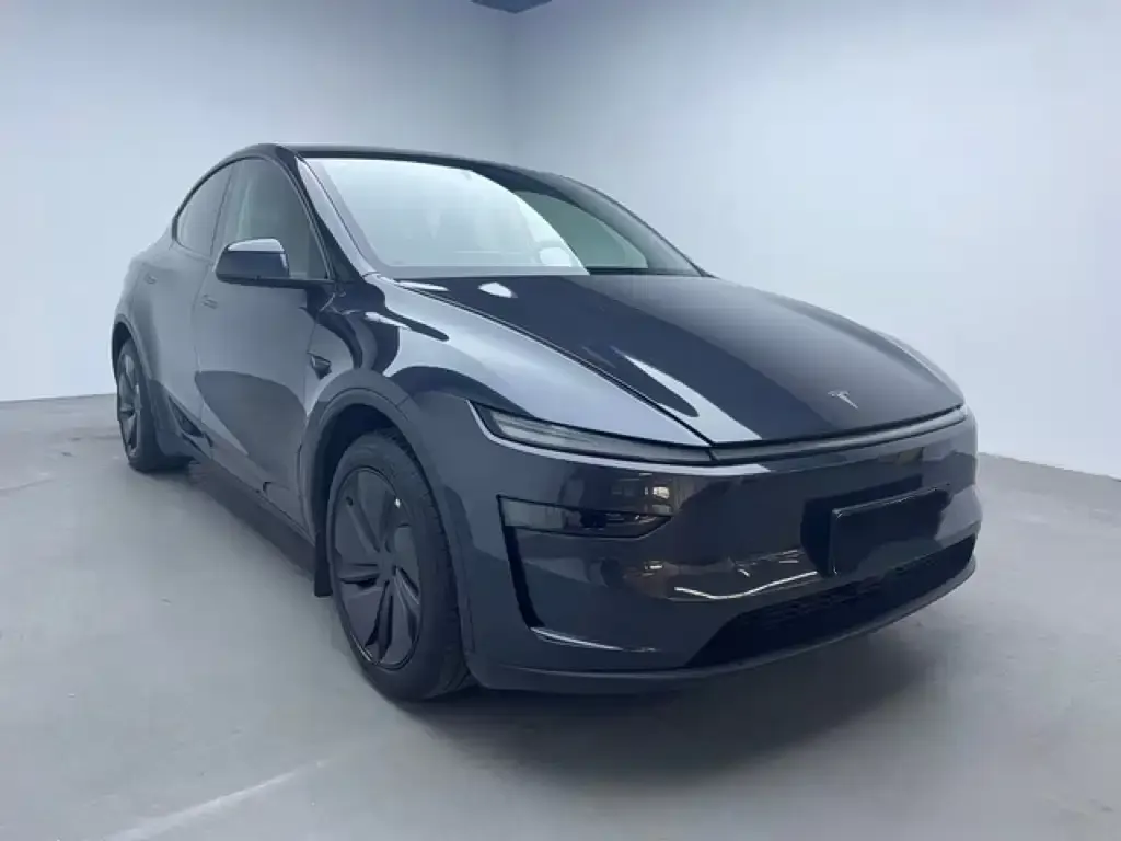 Tesla Model Y — фото 5