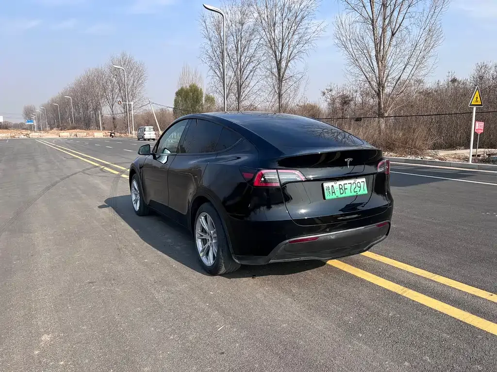 Tesla Model Y — фото 10