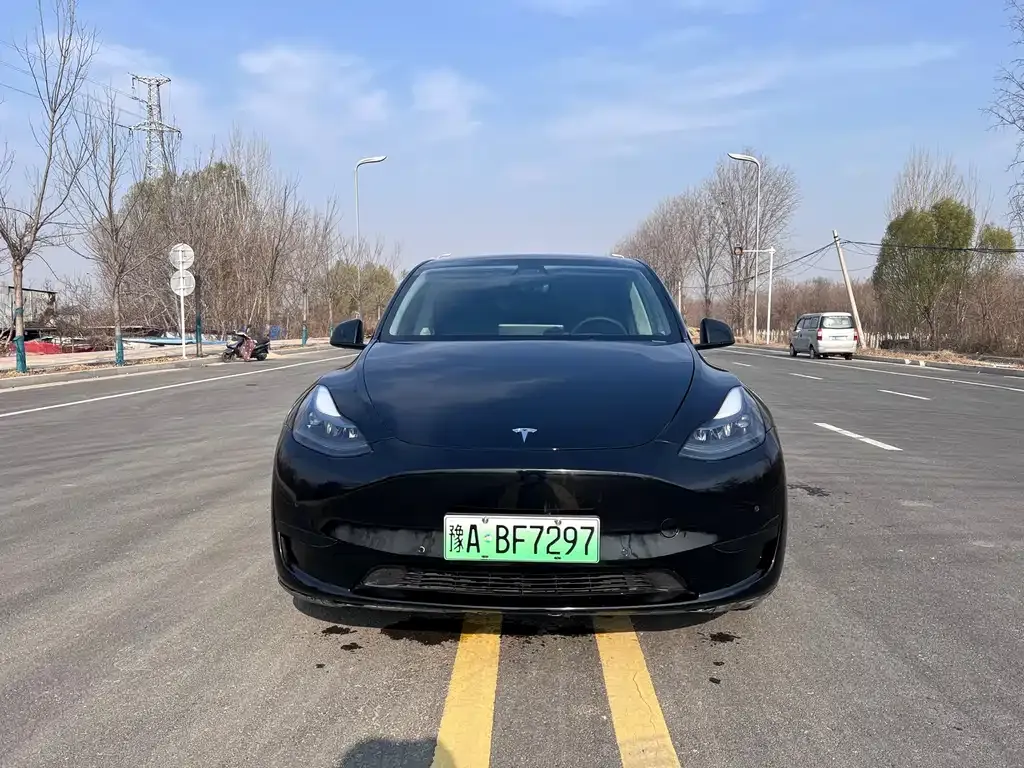 Tesla Model Y — фото 2