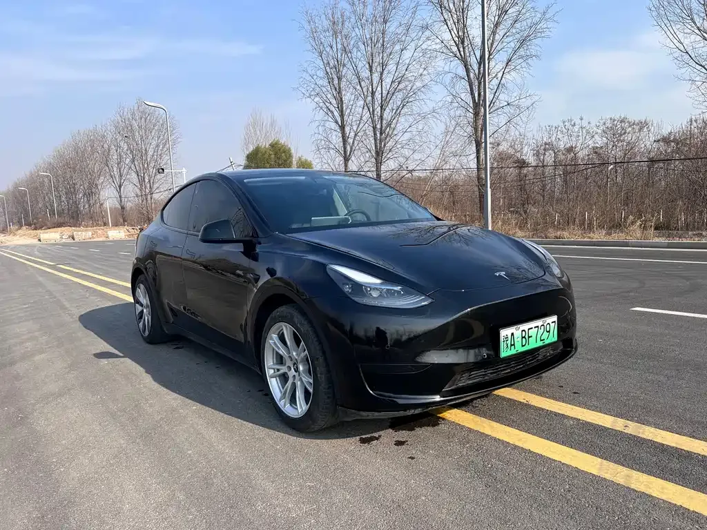Tesla Model Y — фото 3