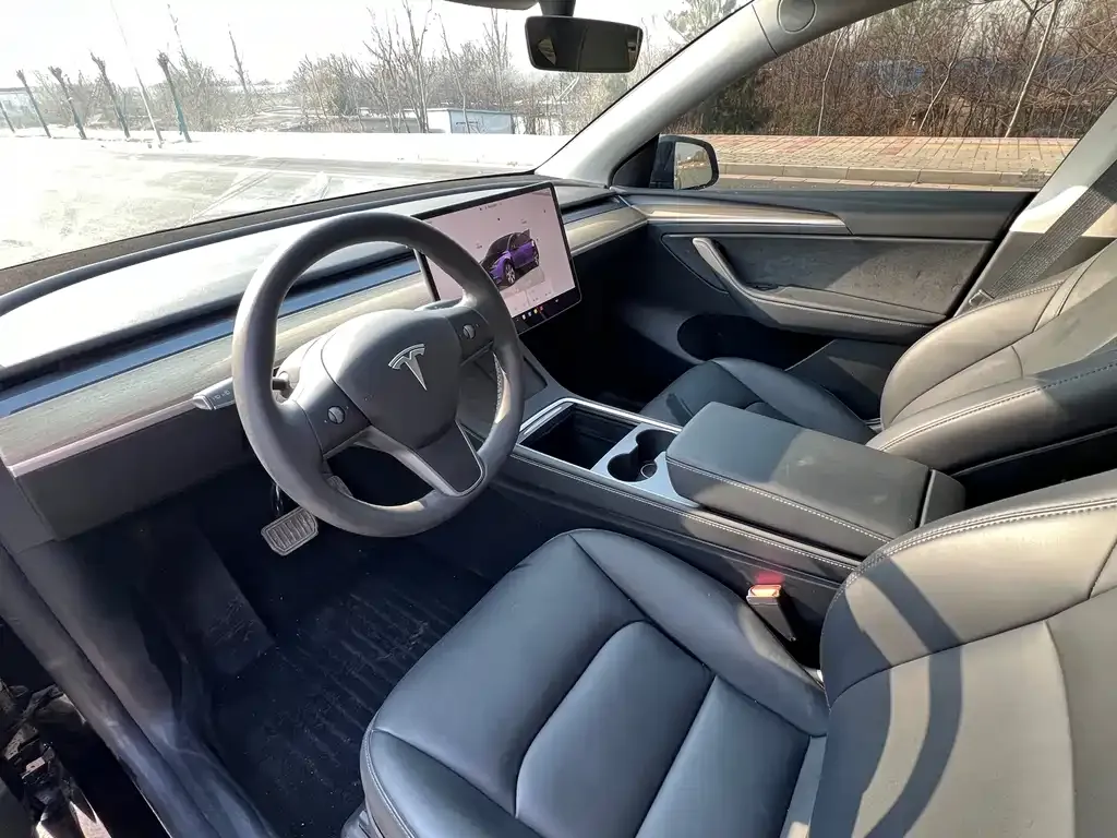 Tesla Model Y — фото 9