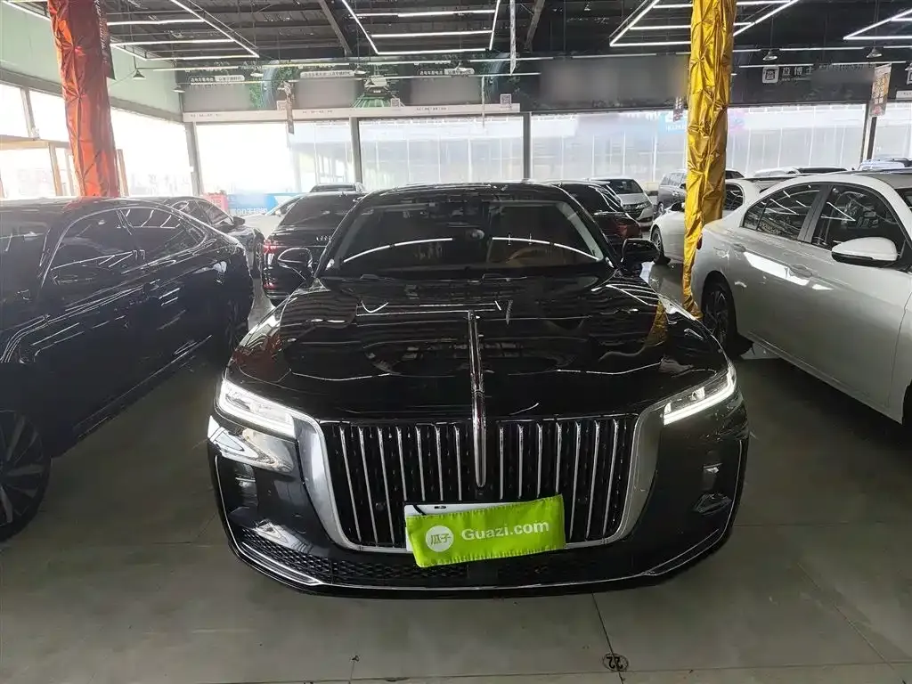 Hongqi H9 2021 из CN, фото 4