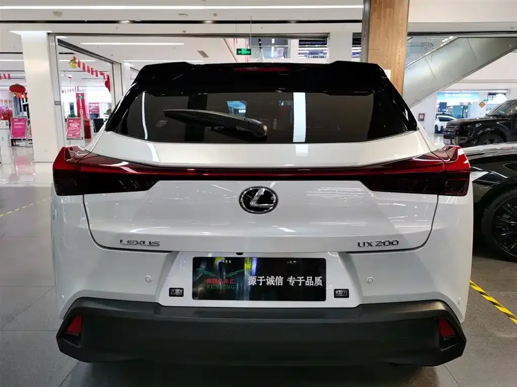 Lexus UX 2022 из CN, фото 4