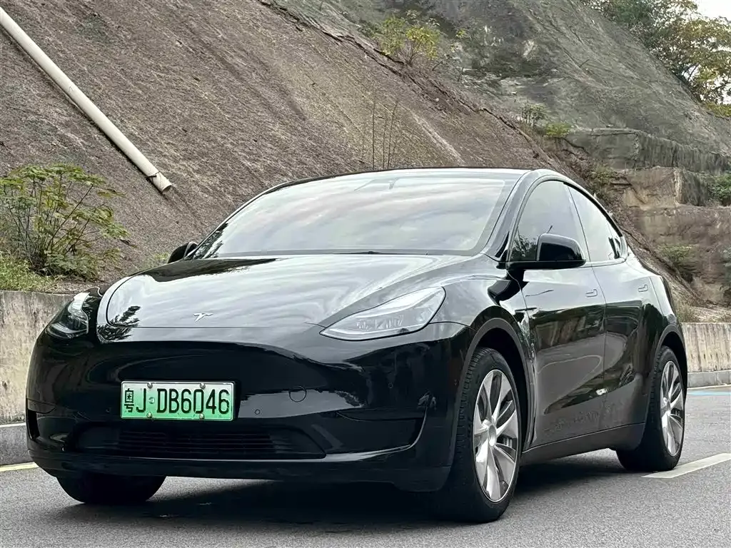 Tesla Model Y 2022 из CN, фото 3