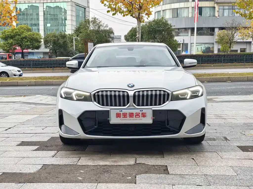 BMW 3 Series 2024 из CN, фото 9