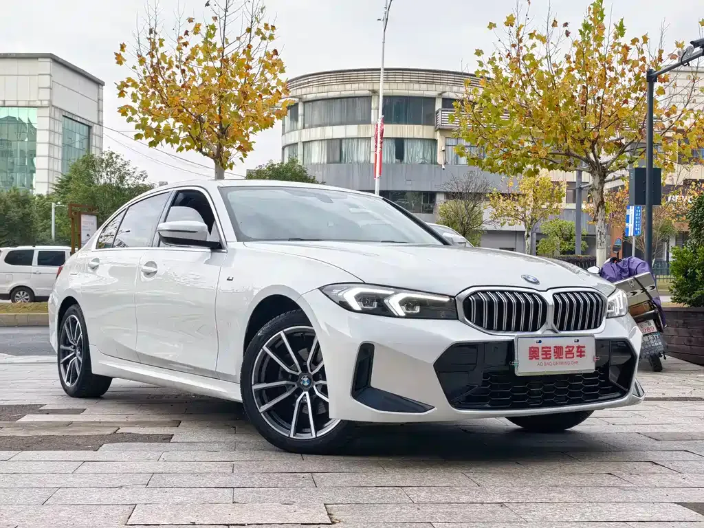 BMW 3 Series 2024 из CN, фото 8