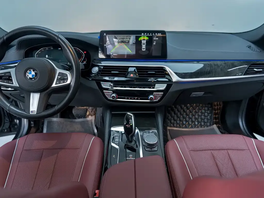 BMW 5 Series 2022 из CN, фото 7