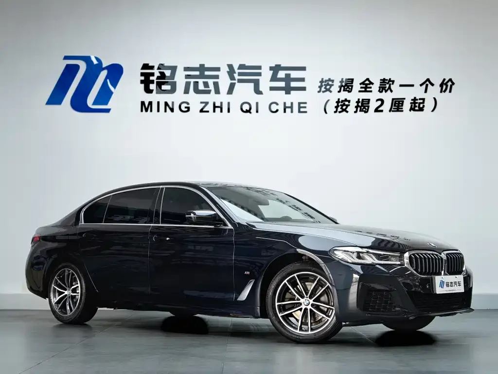 BMW 5 Series 2022 из CN, фото 10