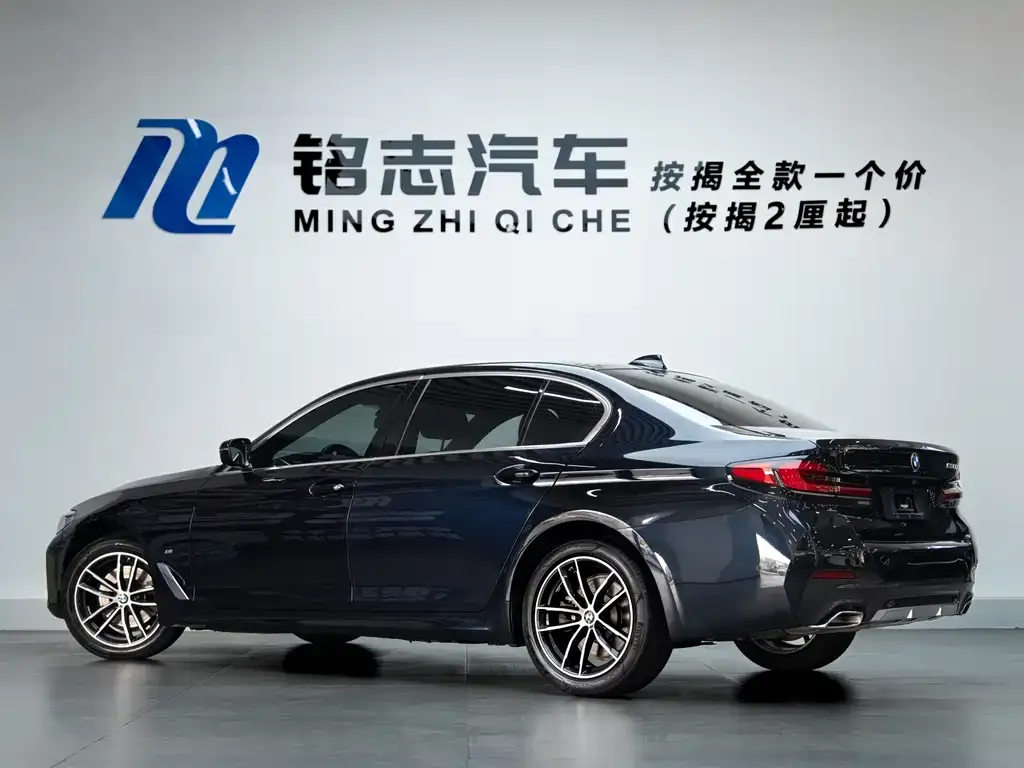 BMW 5 Series 2022 из CN, фото 9