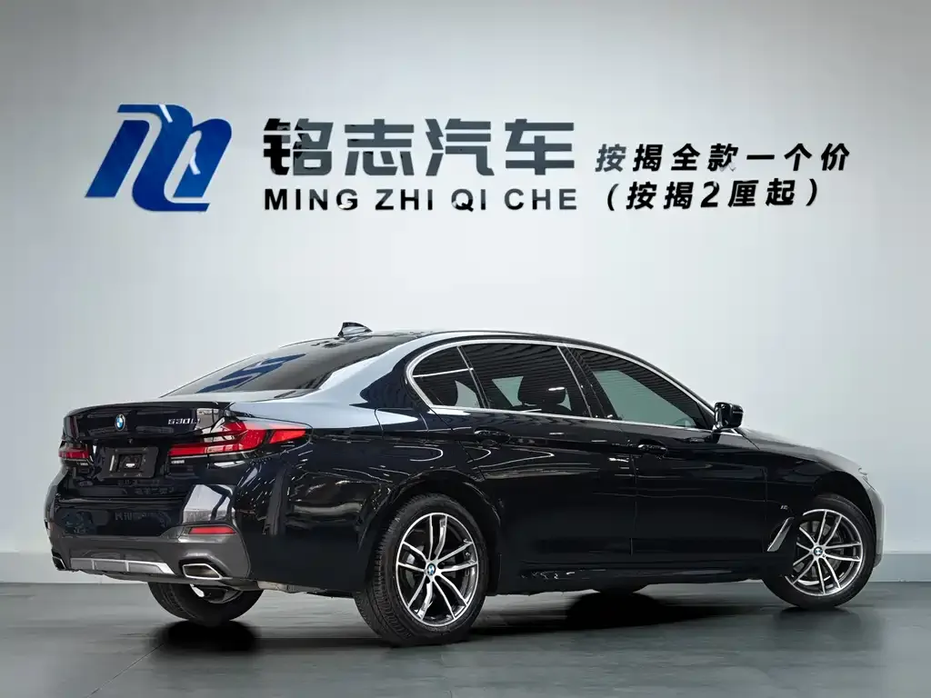BMW 5 Series 2022 из CN, фото 5