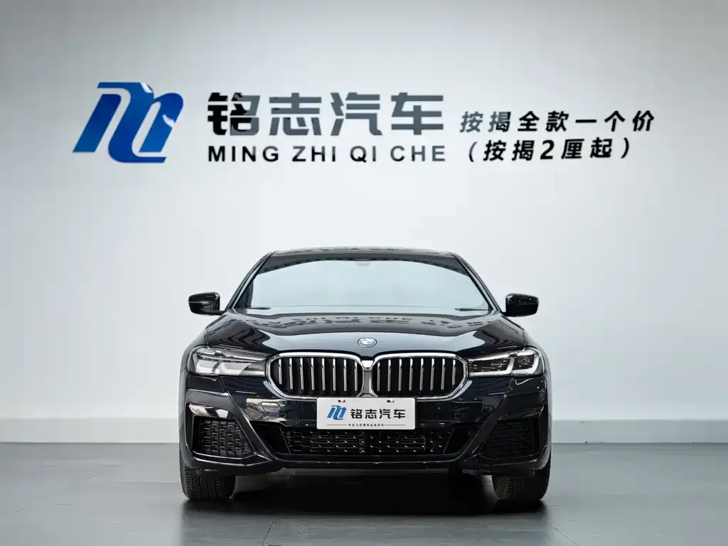 BMW 5 Series 2022 из CN, фото 4
