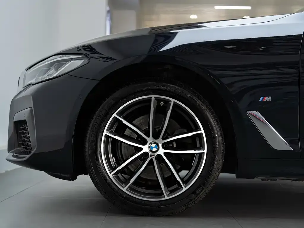 BMW 5 Series 2022 из CN, фото 6