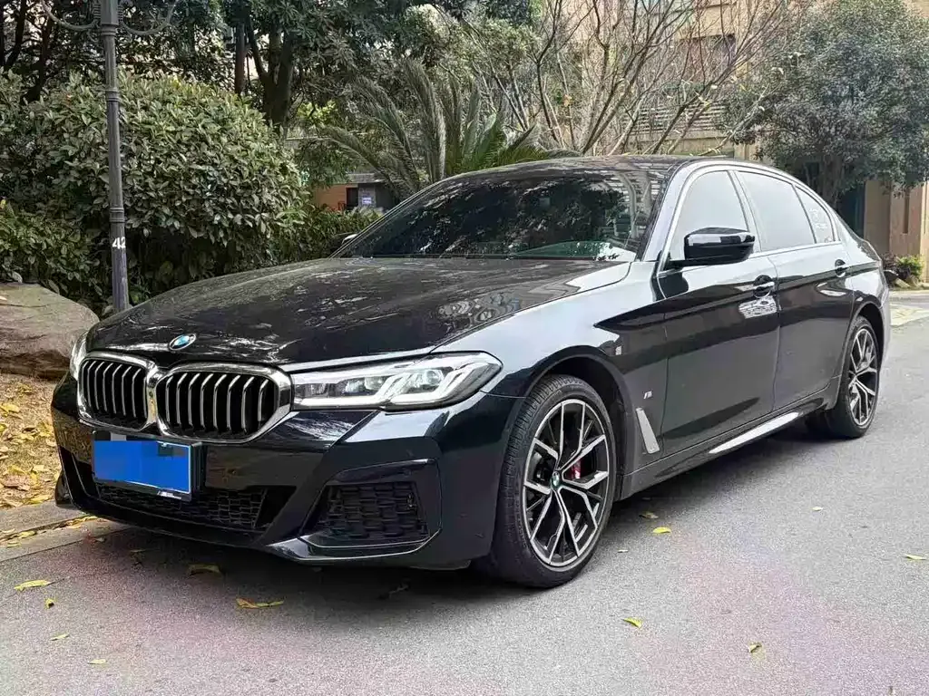 BMW 5 Series 2021 из CN, фото 1