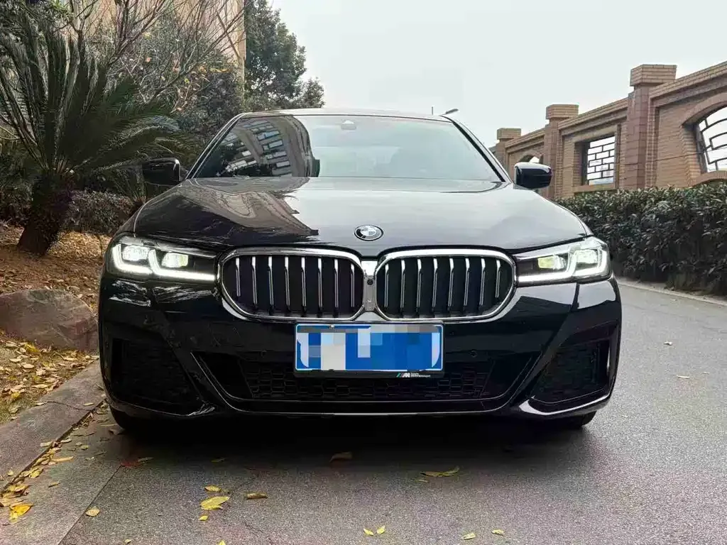 BMW 5 Series 2021 из CN, фото 3