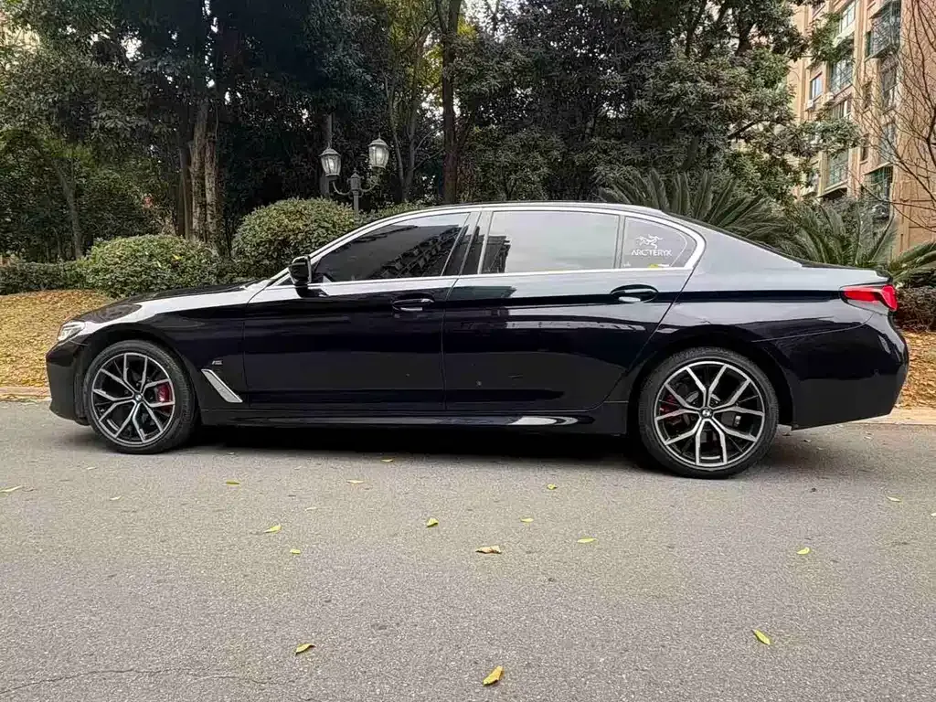 BMW 5 Series 2021 из CN, фото 5