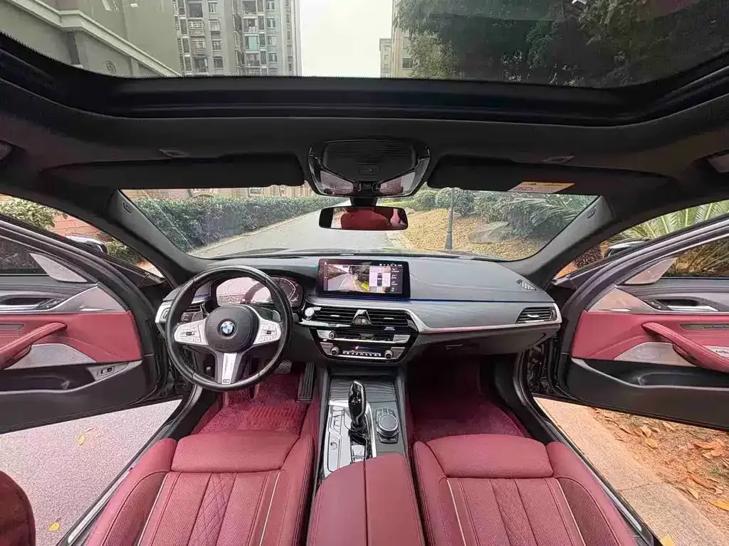 BMW 5 Series 2021 из CN, фото 4