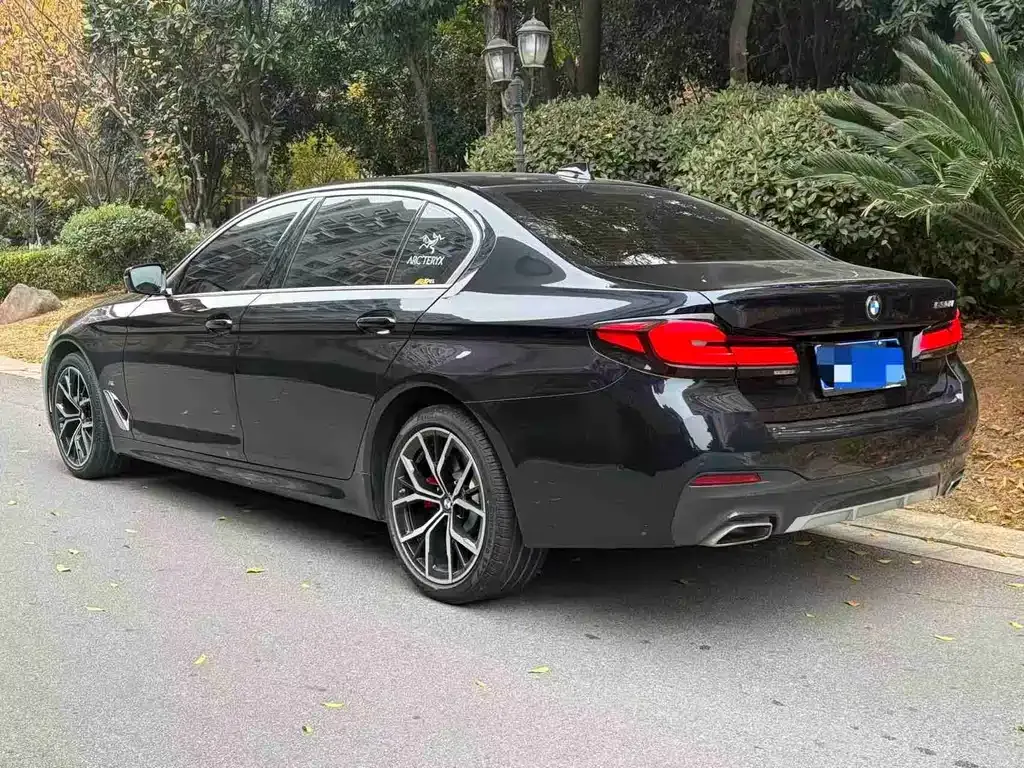 BMW 5 Series 2021 из CN, фото 8