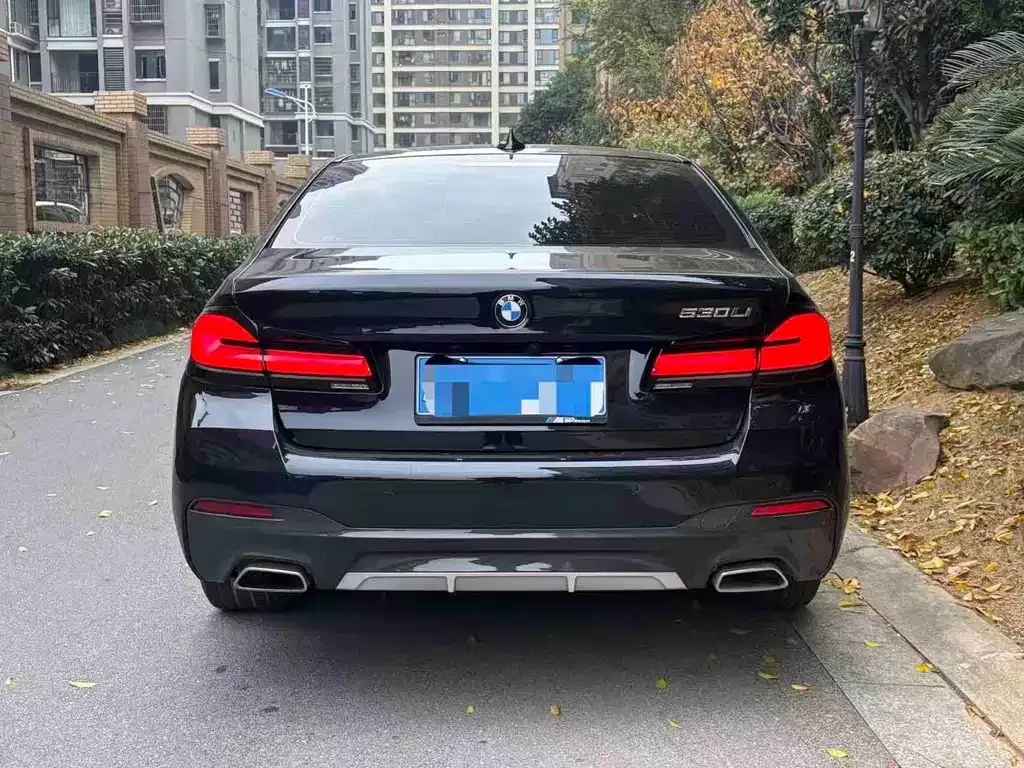 BMW 5 Series 2021 из CN, фото 9