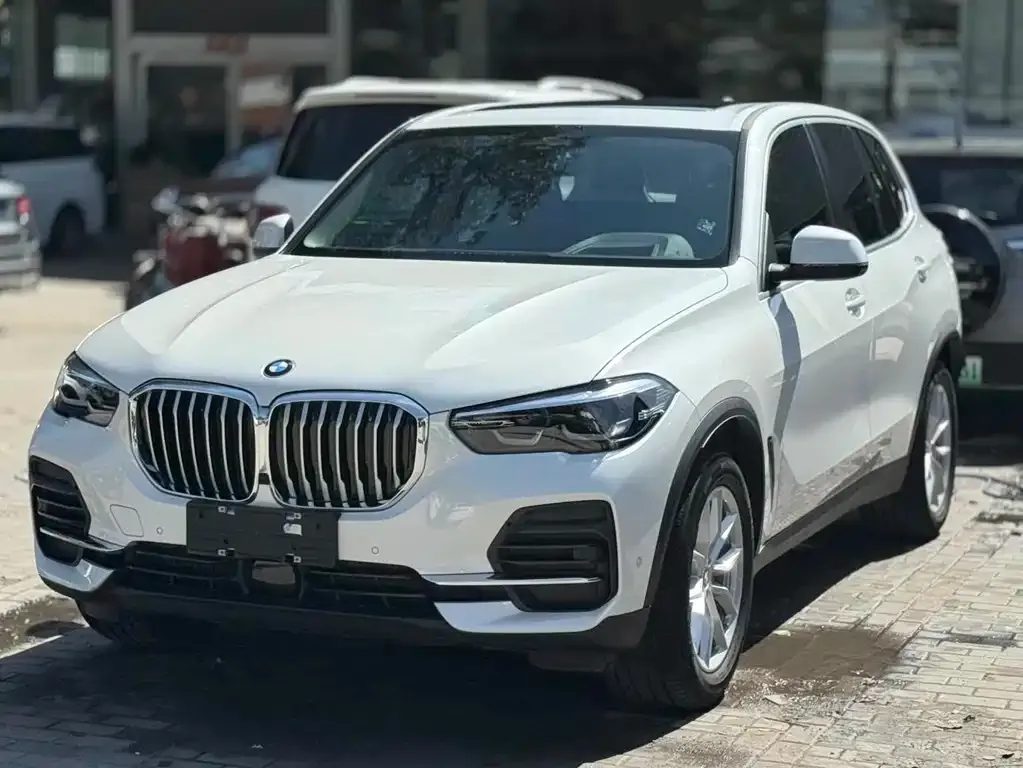 BMW X5 (Import) 2021 из CN, фото 1