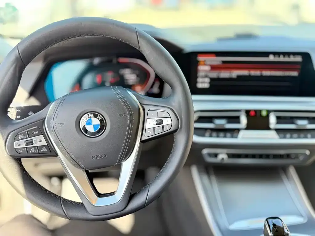 BMW X5 (Import) 2021 из CN, фото 8