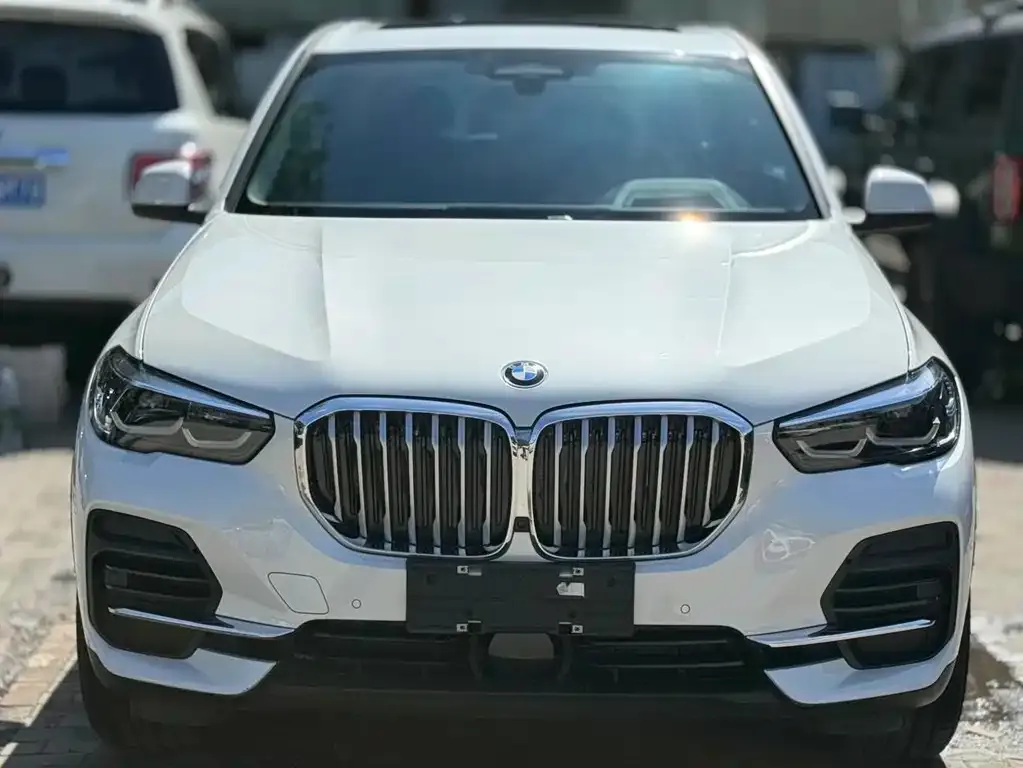 BMW X5 (Import) 2021 из CN, фото 2
