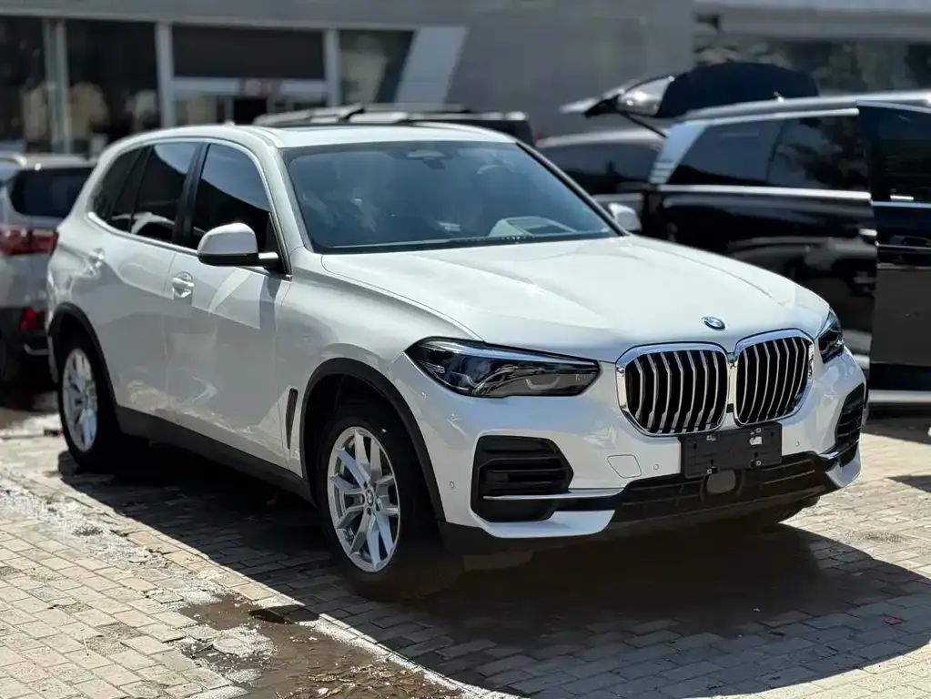 BMW X5 (Import) 2021 из CN, фото 9
