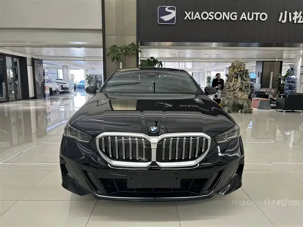 BMW 5 Series 2025 из CN, фото 9