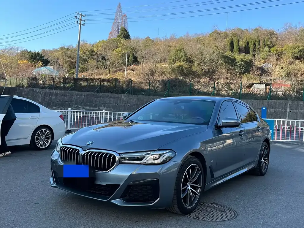 BMW 5 Series (Import) 2021 из CN, фото 1