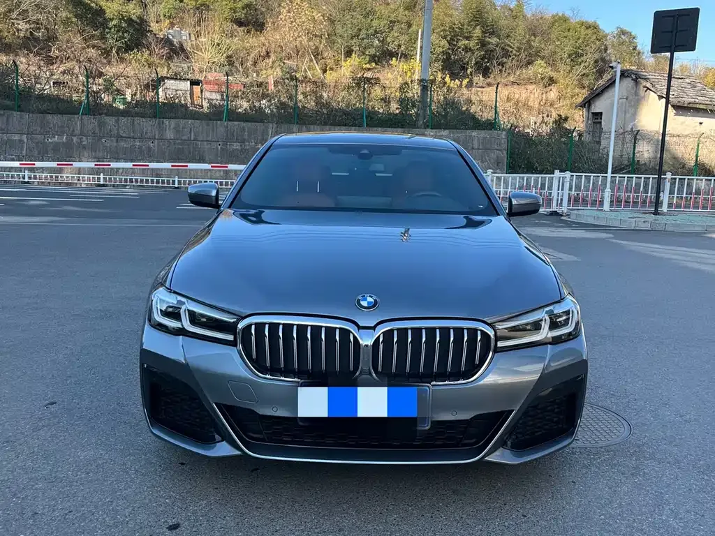 BMW 5 Series (Import) 2021 из CN, фото 7