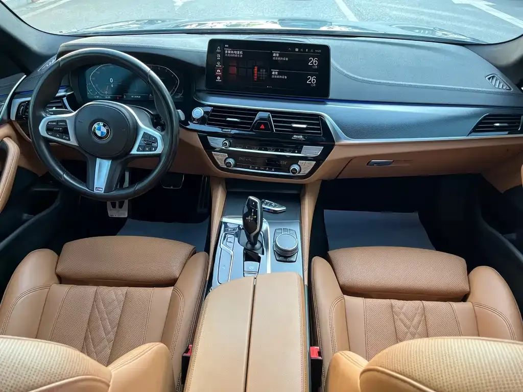 BMW 5 Series (Import) 2021 из CN, фото 6