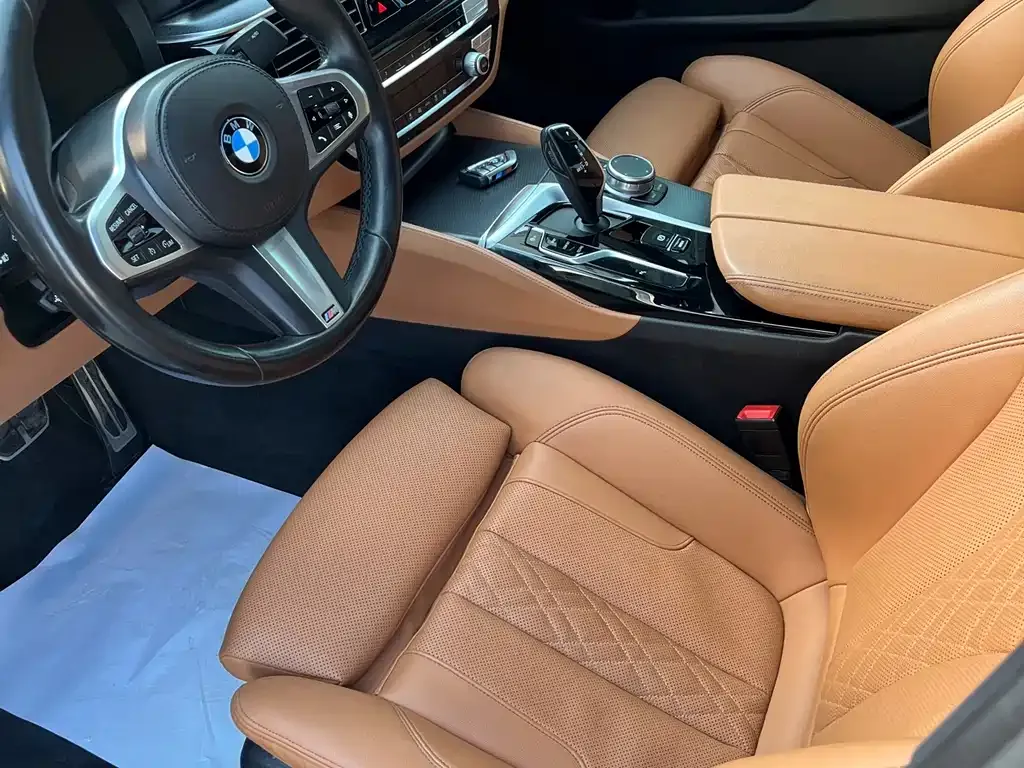 BMW 5 Series (Import) 2021 из CN, фото 10