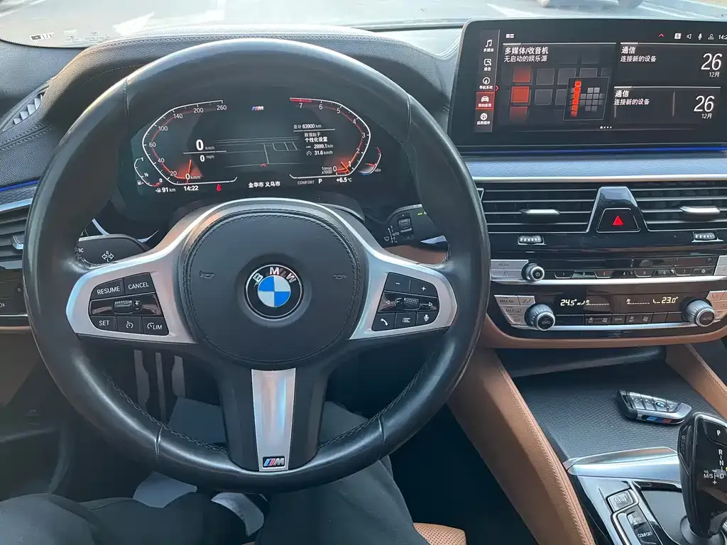 BMW 5 Series (Import) 2021 из CN, фото 8