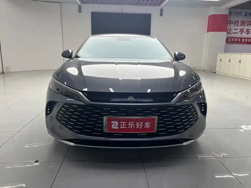 BYD Qin PLUS — фото 2
