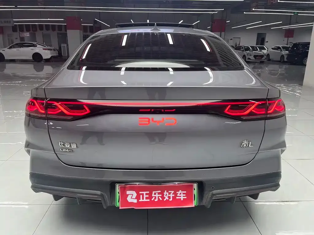 BYD Qin PLUS — фото 3