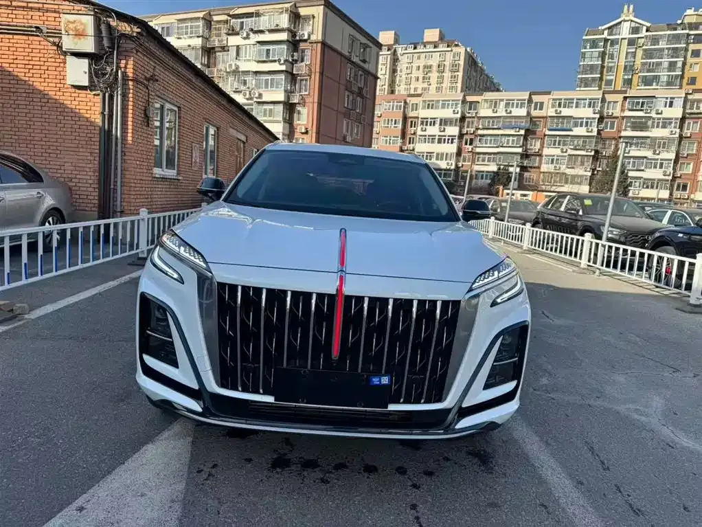 Hongqi HS3 PHEV 2025 из CN, фото 9