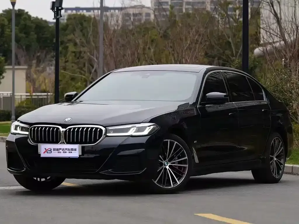 BMW 5 Series 2021 из CN, фото 1