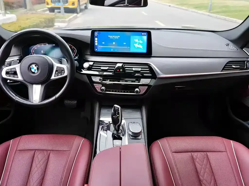 BMW 5 Series 2021 из CN, фото 3