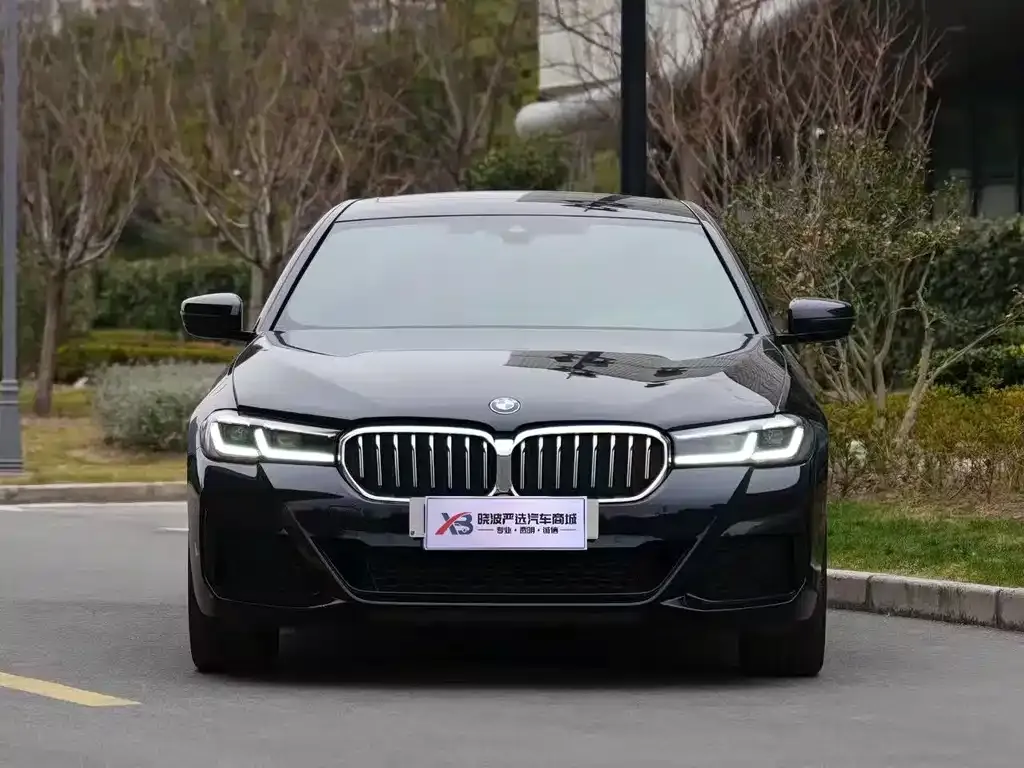 BMW 5 Series 2021 из CN, фото 8