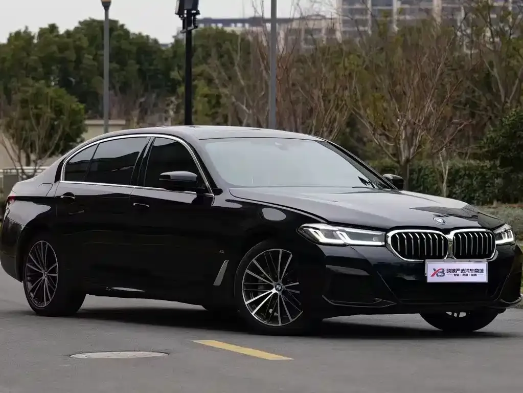 BMW 5 Series 2021 из CN, фото 5